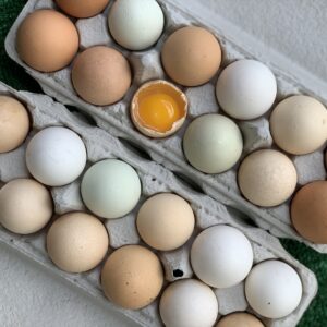 Eggs