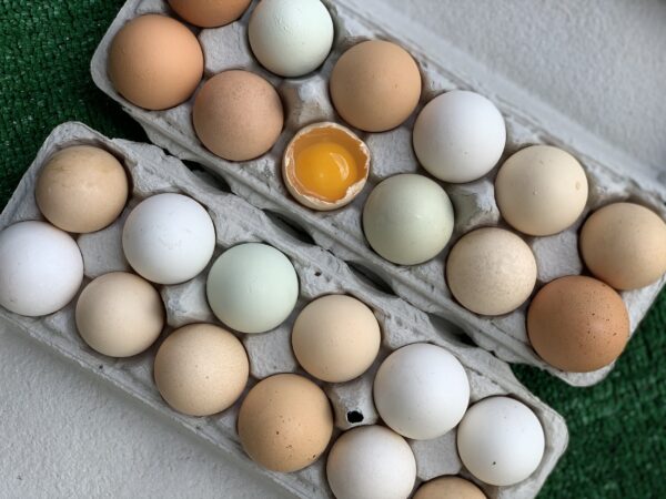 Eggs