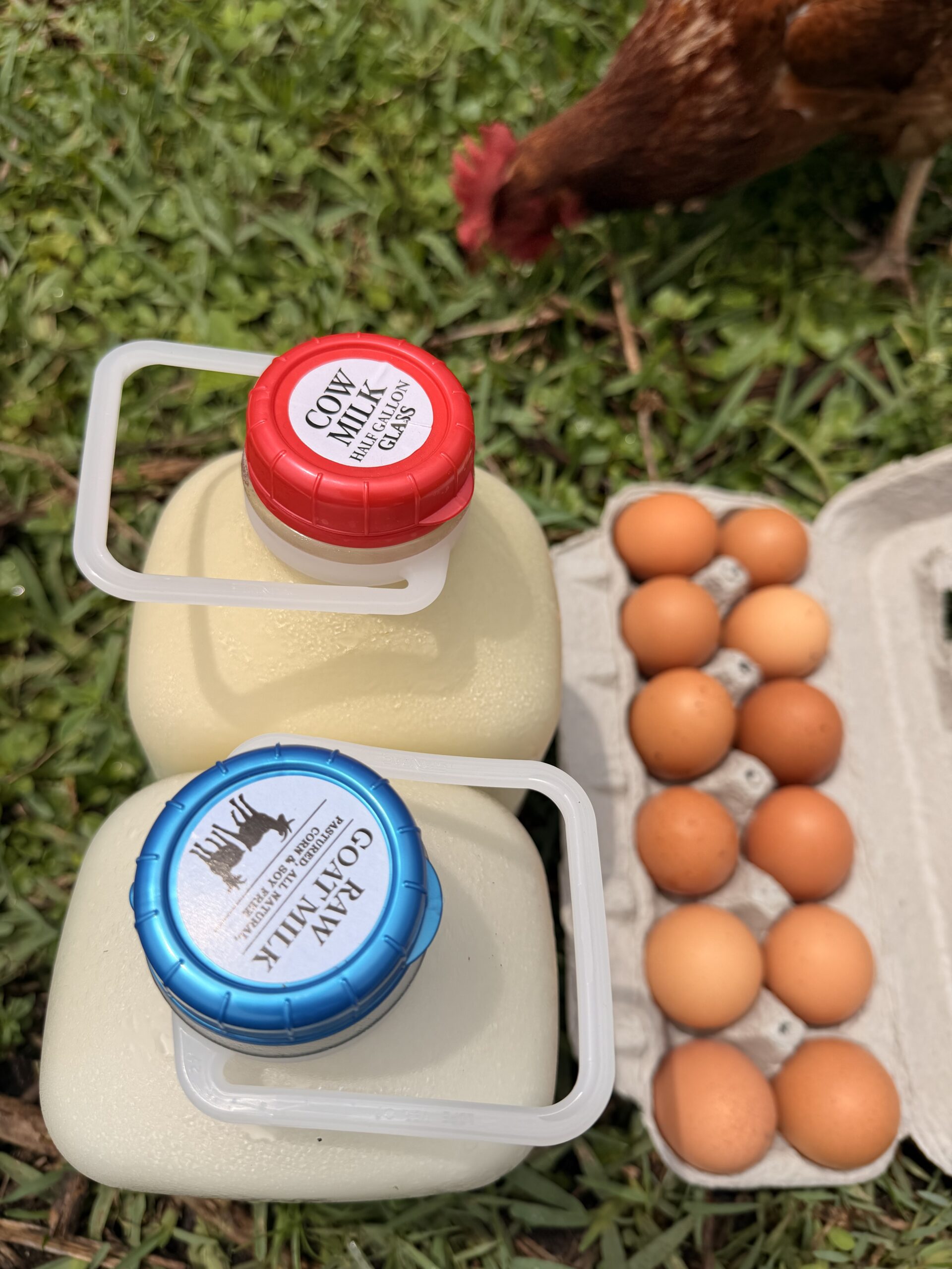 Milk Combo